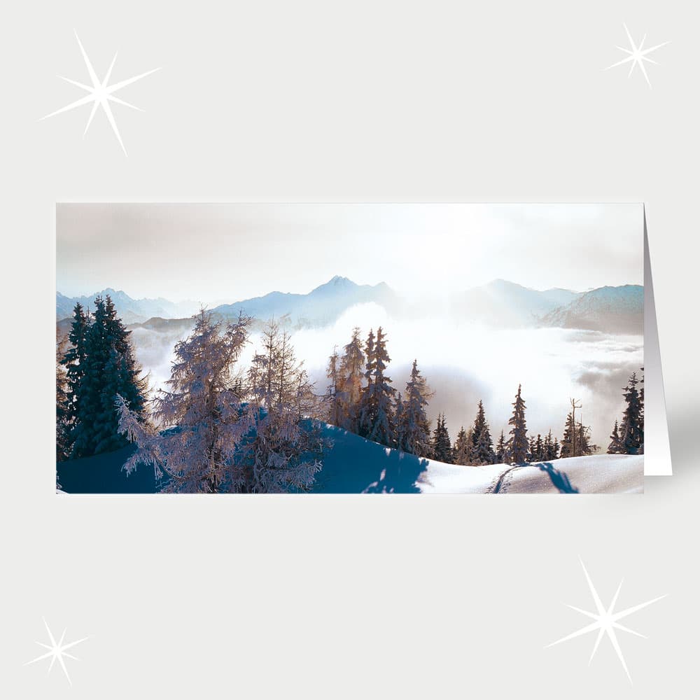 Wintererwachen