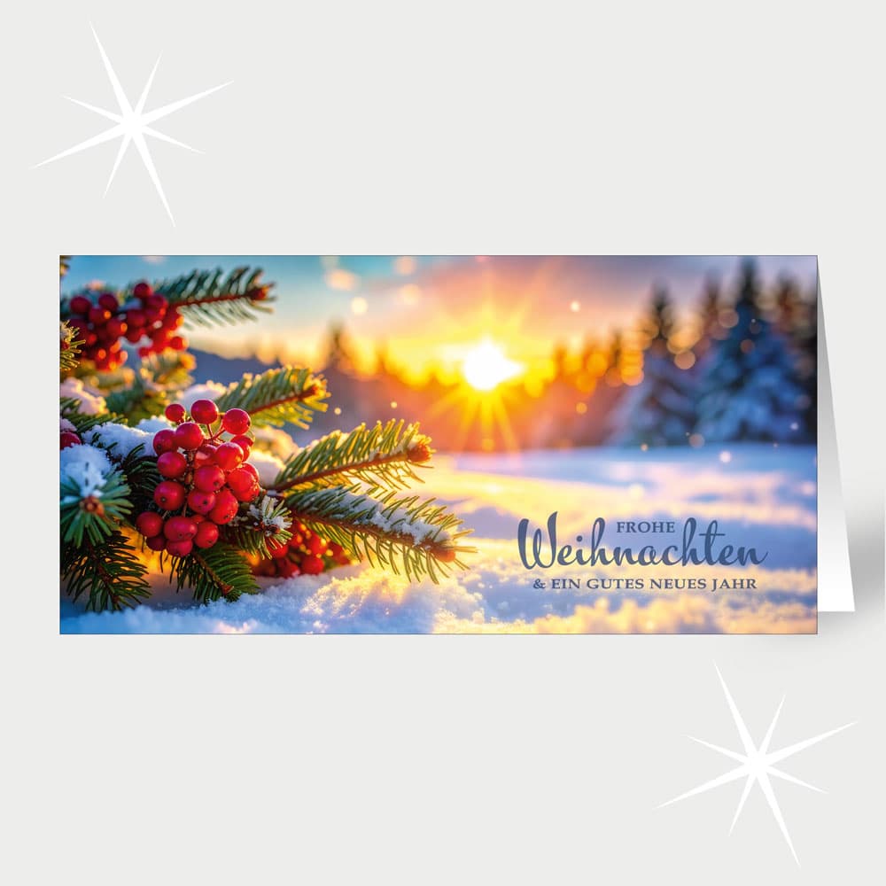 Sonnenbeeren